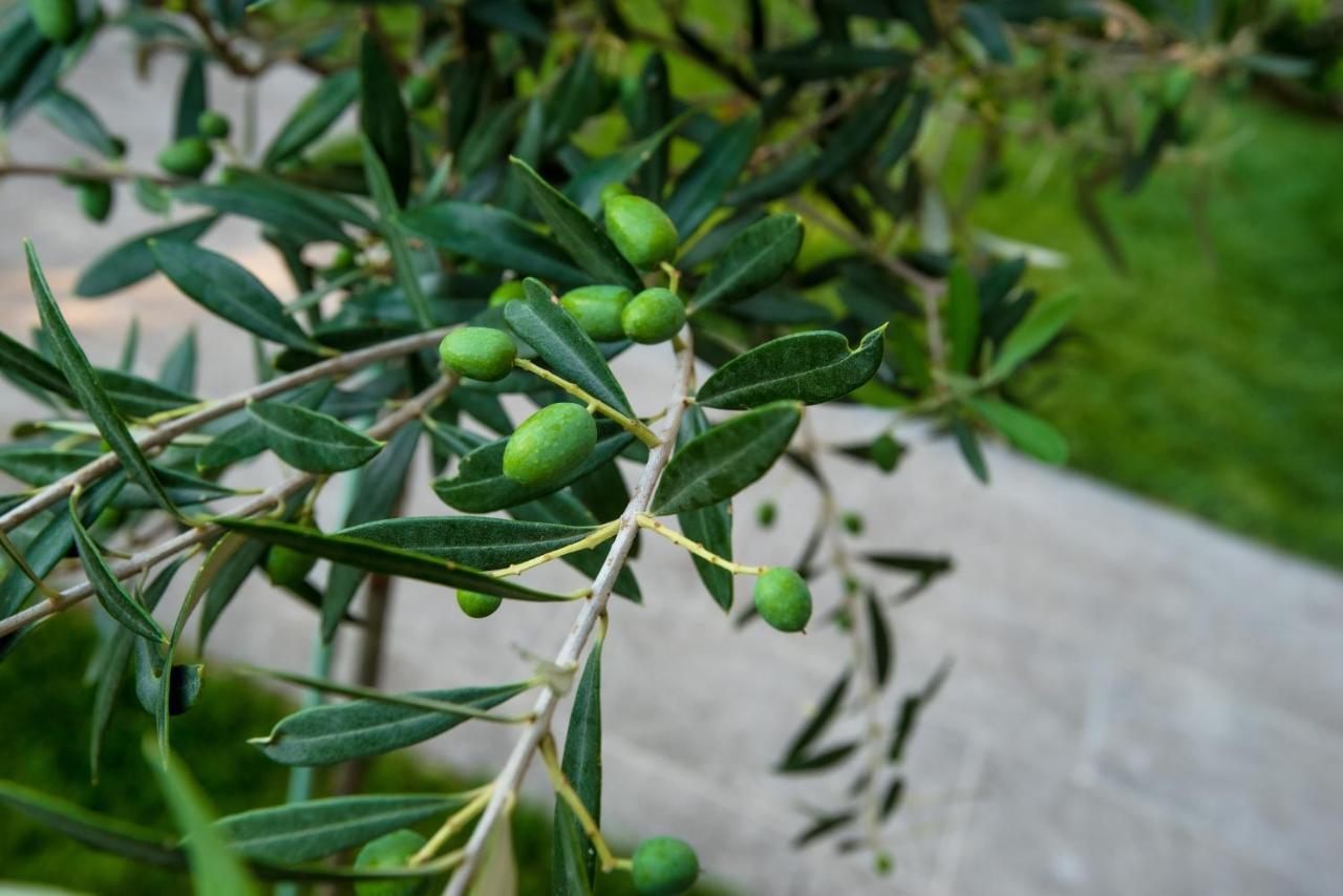 Olive 103 Apartment Peraia  Luaran gambar